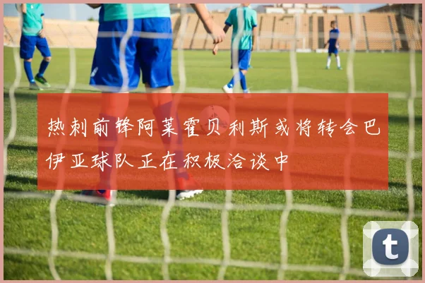 热刺前锋阿莱霍贝利斯或将转会巴伊亚球队正在积极洽谈中